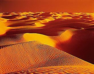 《飙酷车神2》PS5和XSX即将获得60FPS更新